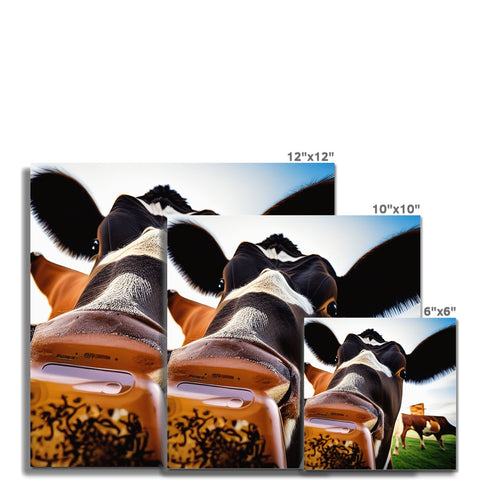The image is of a group of cows in a field.