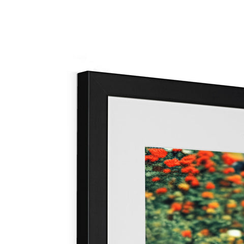A photo frame containing a single photo in black paper on top of a display screen.