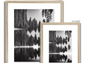 Black and white photos of pine trees close up near each other on a wooden frame.