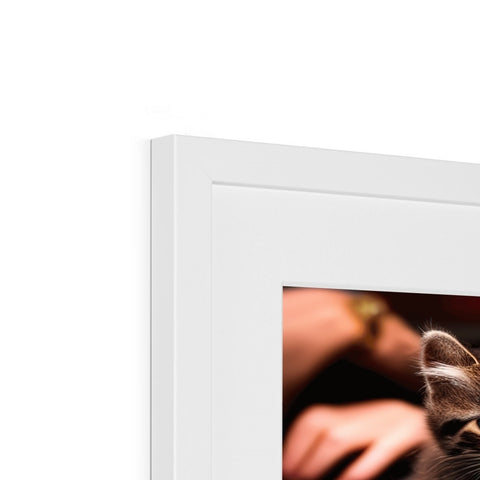 A cat peeking through a photo frame frame on a picture display.