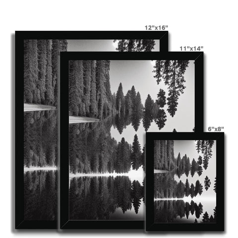 A picture of trees on a display panel of black and white computer screens