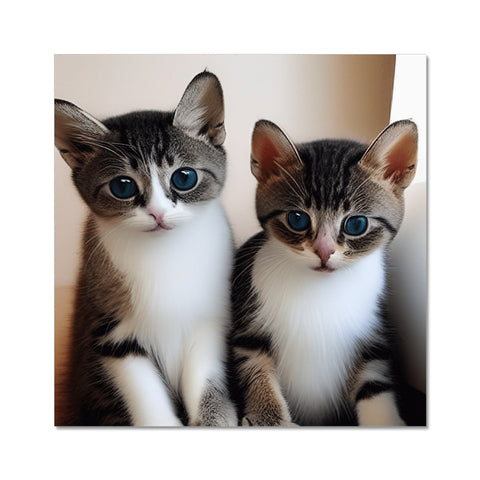 Two gray and white feline with black and white eye prints and ears of a cat