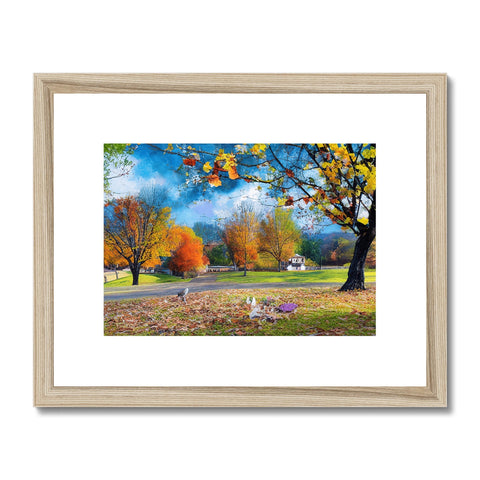 A framed picture with a picture of colorful fall trees on a white background.