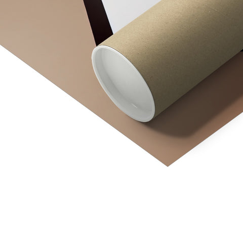 A roll of tissue is placed on top of a table with a brown paper roll.