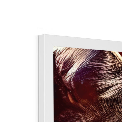 A furry pug dog has its face in a book.