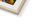 a photo of an art print hanging on a wooden frame with trees and trees