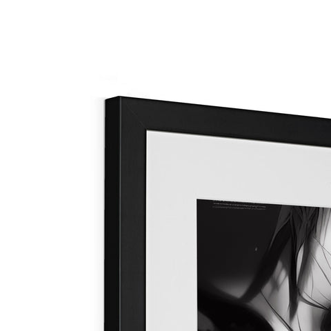A large picture frame sitting in a mirror of black and white with an animated photo.