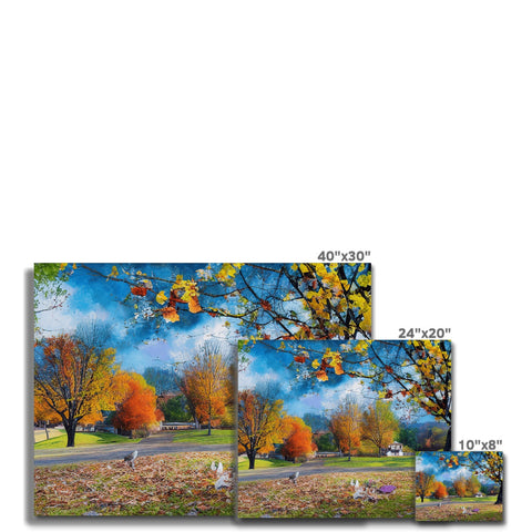 four cards topped with autumn trees decorated with some holiday photos