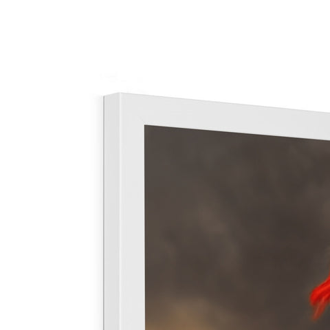 A flying red feather appears in a picture on a banner for an Imac.