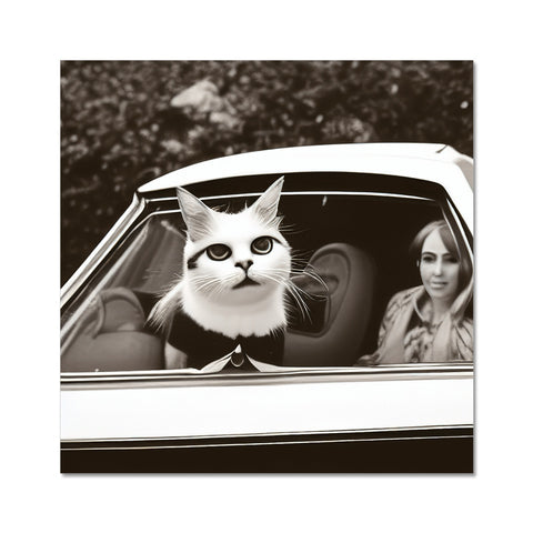 An old car and a silver cat are sitting outside with an album art print on the