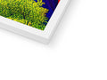 A picture frame with colored plants growing in front of a bright picture of bushes.