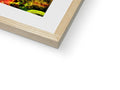 A picture frame in a white wood framed book on a green background.
