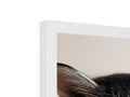 A cat leaning in front of a wall mounted photo frame.