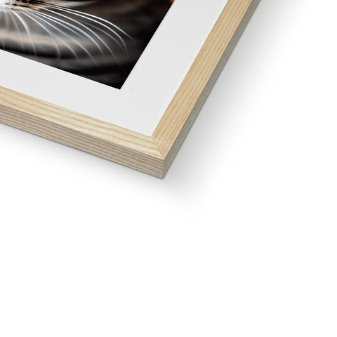 A picture of a picture of black and white cat in a wooden frame in the frame