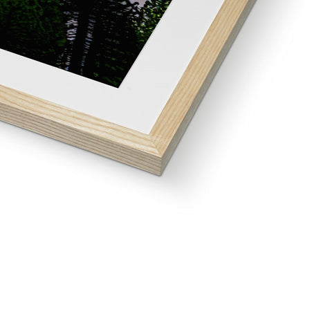 A photograph of trees and plants in a small square of wood framed artwork