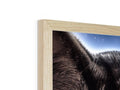 a picture frame resting on a white background with a picture of some wood on it