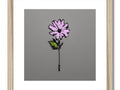 A beautiful pink and purple flower is on a white frame printed on white paper.