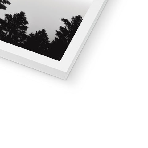 There is a picture of trees inside of a white photo frame.