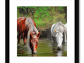 Three horses standing in a field along a rocky river with some water.