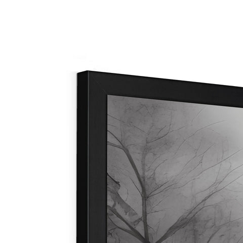 a silver photo frame framed with dark trees in it.