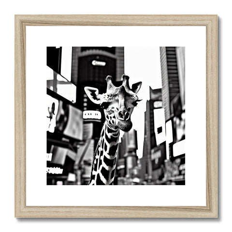 A giraffe with a black and white photo of a giraffe standing next to bushes
