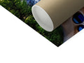 Plastic toilet paper roll and tissues on paper roll in a white tarp.