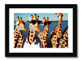 Three giraffes are standing together with two giraffe and a giraffe in the