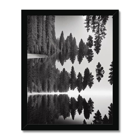 An art print showing trees in a forest in a clear crystal pond.
