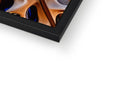 The bottom of a glass display in a photo frame with prints.