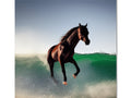 A horse standing on a beach surfing in a field with some wind and some water.
