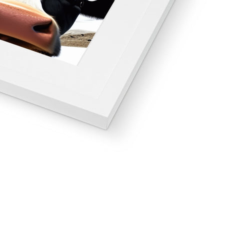 There is an orange photo with an ipad next to a paper photo book labeled "
