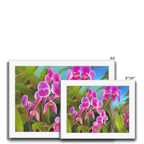 A purple orchids plant on a white cardboard background next to various cards in a