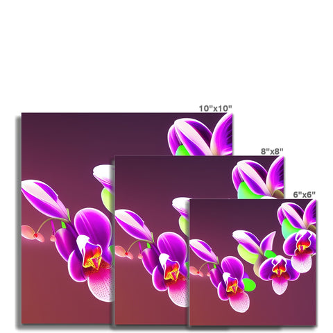 A photo frame made with purple orchids in colorful designs.