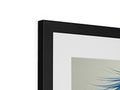 A picture frame with a photograph is on top of a tall blue wall