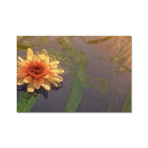 Water lilies on a paper mat covered in white and red and yellow text on a