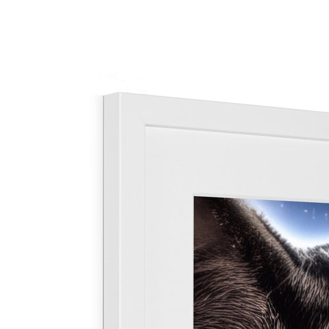 A picture frame with a cat nuzzled on it sitting on a desk.