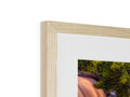 A framed picture of wood framed in a photograph sitting inside of a picture frame.