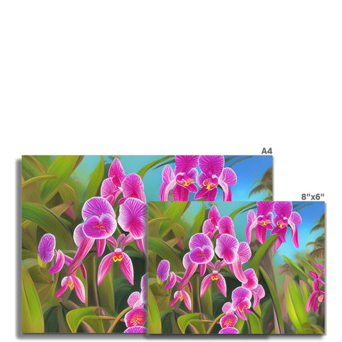 two orchids sitting on a piece of paper above a card near a display of