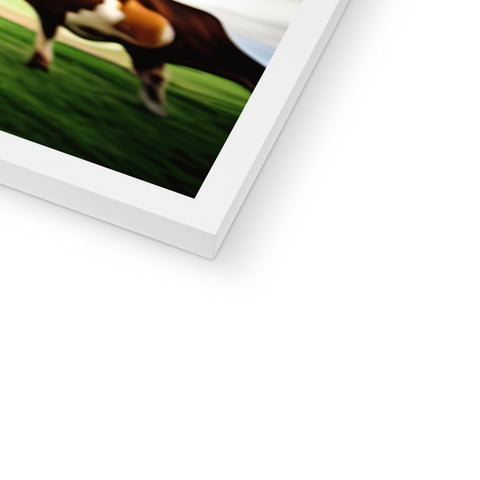 Several photos on a white background with a photo of a cow.