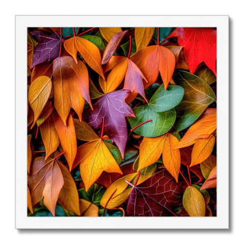 a few colorful leaves are displayed in a photo