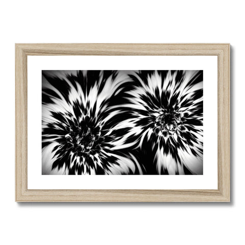 Black and white image of a flower on a wood framed photo frame.