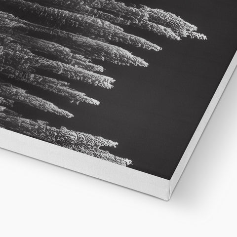 A book about trees covered in pine twigs is displayed on a black and white photo