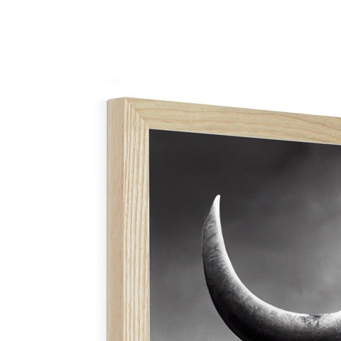 A picture frame made from wood having large horns and an eclipse of a single moon in
