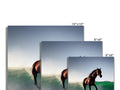 Four images on a white card board with a horse walking down a road.