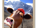 A cow is a cow in a field, wearing a bandanna with a hat.