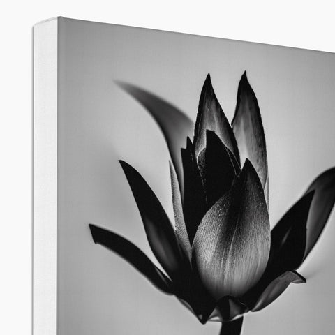 A white and white picture of lilies is on the front of a photo frame.