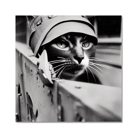 A cat stands behind a window against the wall near a tank.