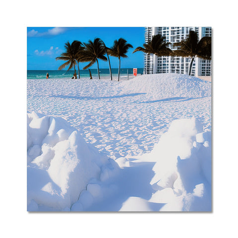There is a snow covered beach in Miami with snow covered trees and a large lake.