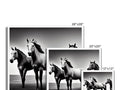 an image of four horses are standing beside a white mirror
