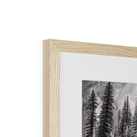 A picture frame with larch trees in it next to a white and black photo of